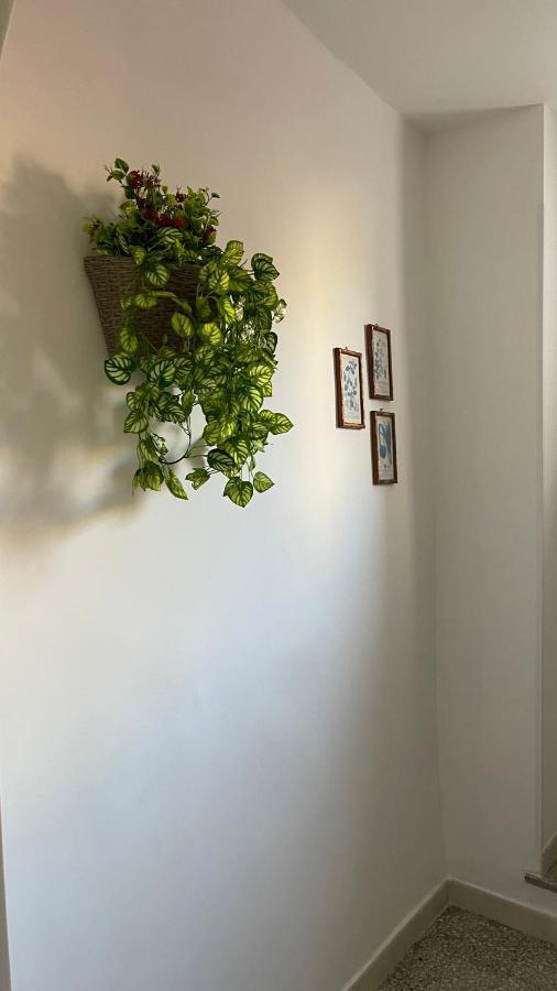 Santa Lucia Affittacamere Lamezia Terme Bagian luar foto